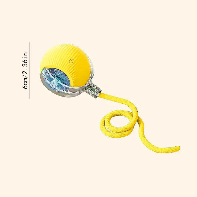 ๐พ Smart Interactive Pet Ball โ Endless Fun for Pet๐พ