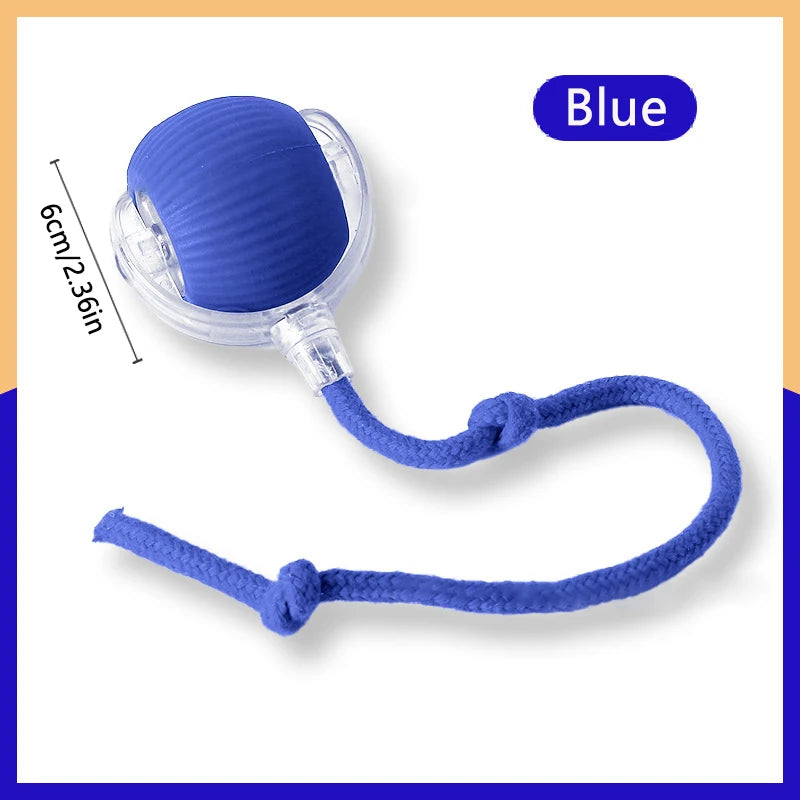 ๐พ Smart Interactive Pet Ball โ Endless Fun for Pet๐พ