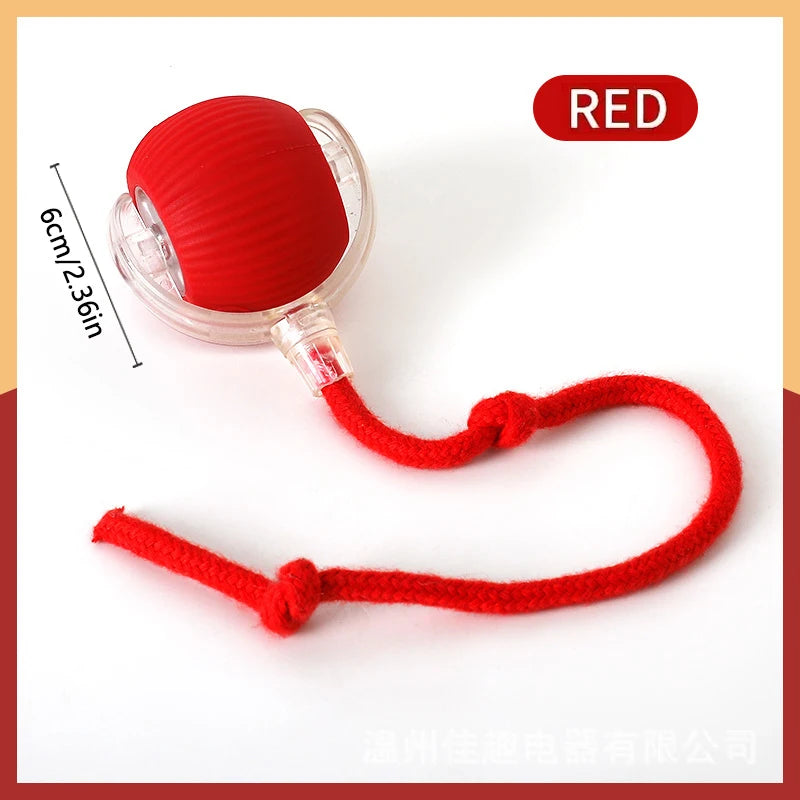 ๐พ Smart Interactive Pet Ball โ Endless Fun for Pet๐พ