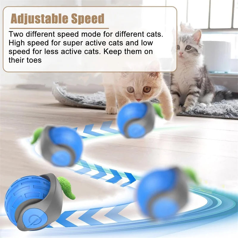 ๐พ Smart Interactive Pet Ball โ Endless Fun for Pet๐พ