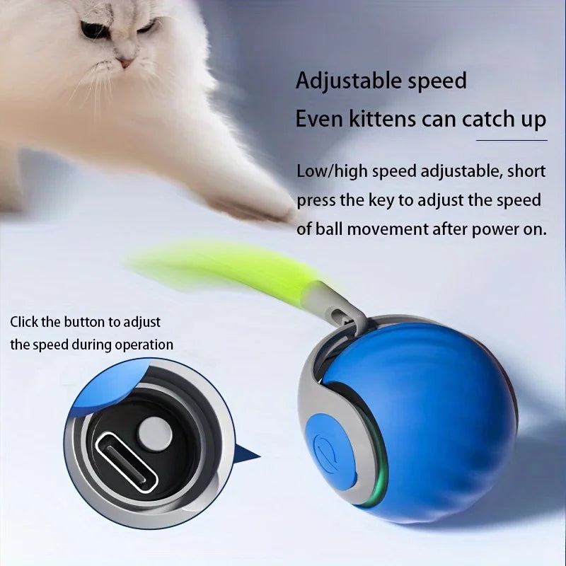 ๐พ Smart Interactive Pet Ball โ Endless Fun for Pet๐พ