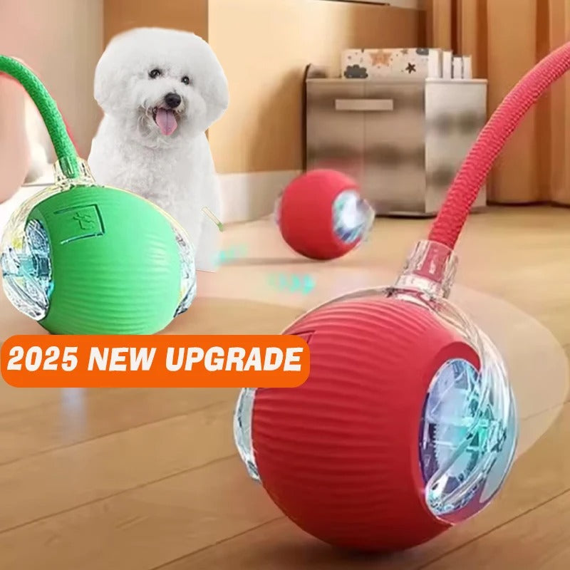 ๐พ Smart Interactive Pet Ball โ Endless Fun for Pet๐พ