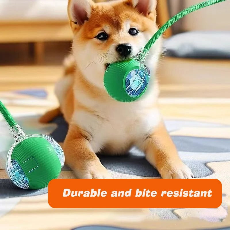 ๐พ Smart Interactive Pet Ball โ Endless Fun for Pet๐พ